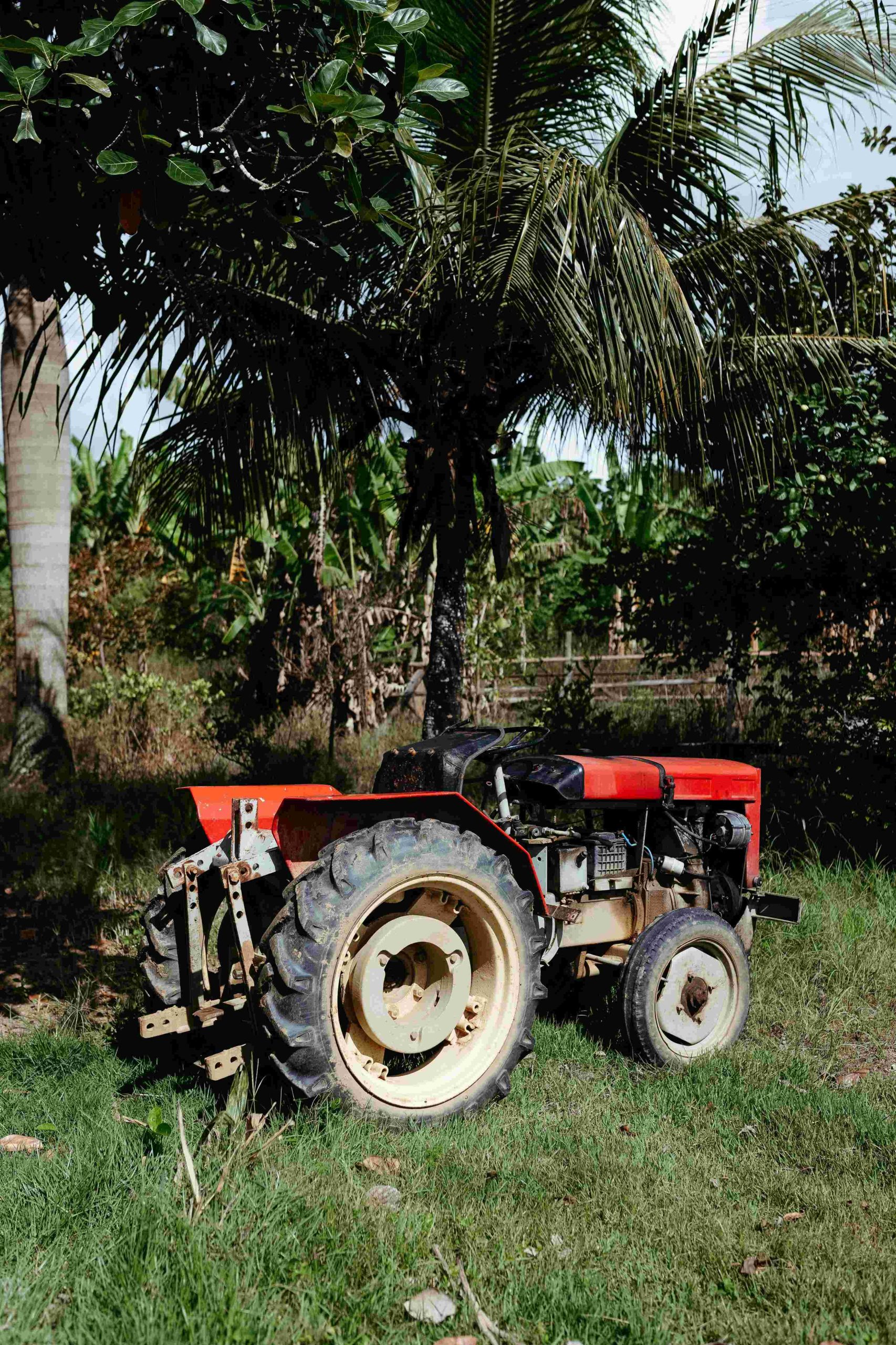 Traktor för er i Fidenäs